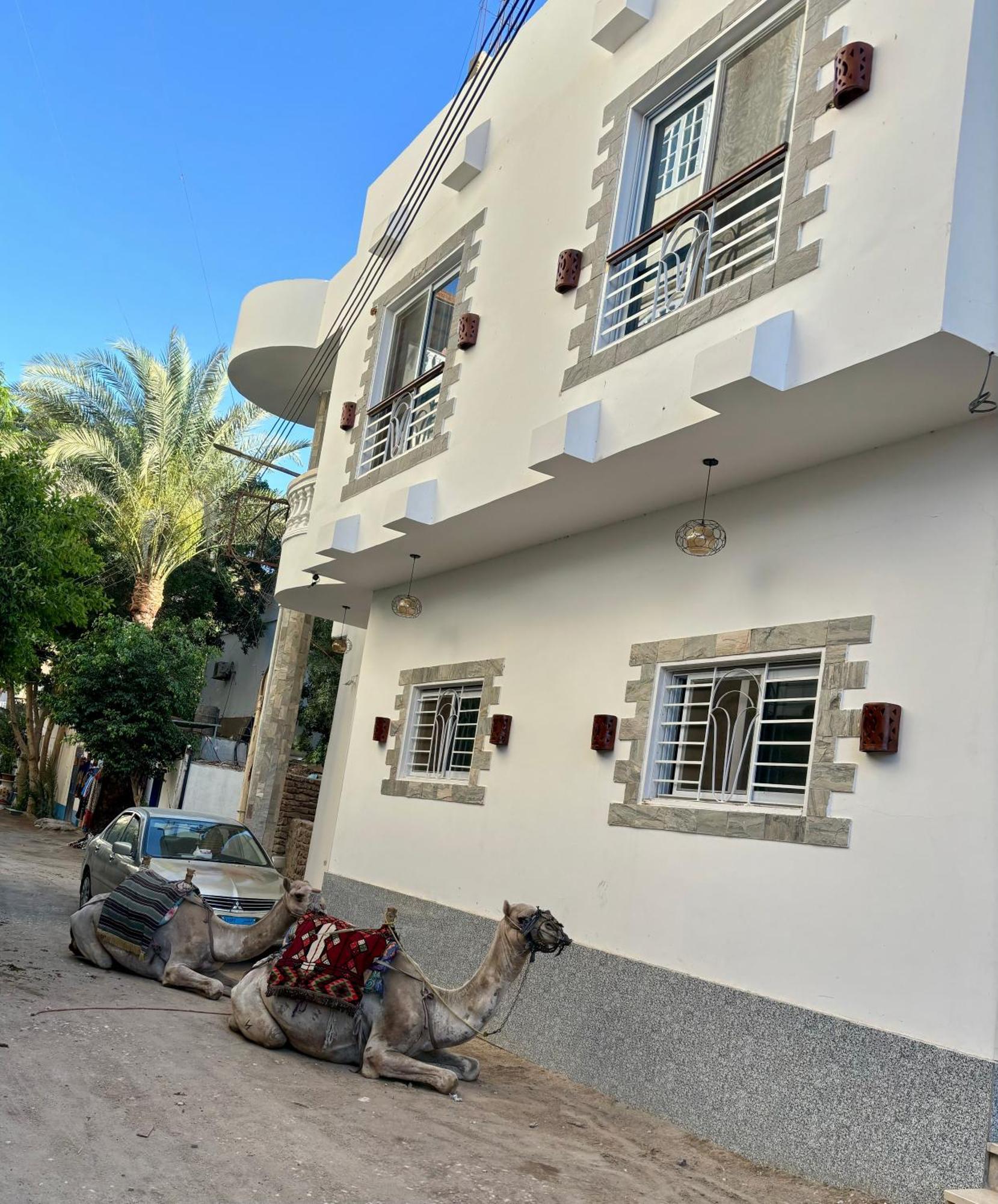 דירות Moon House Of לוקסור מראה חיצוני תמונה